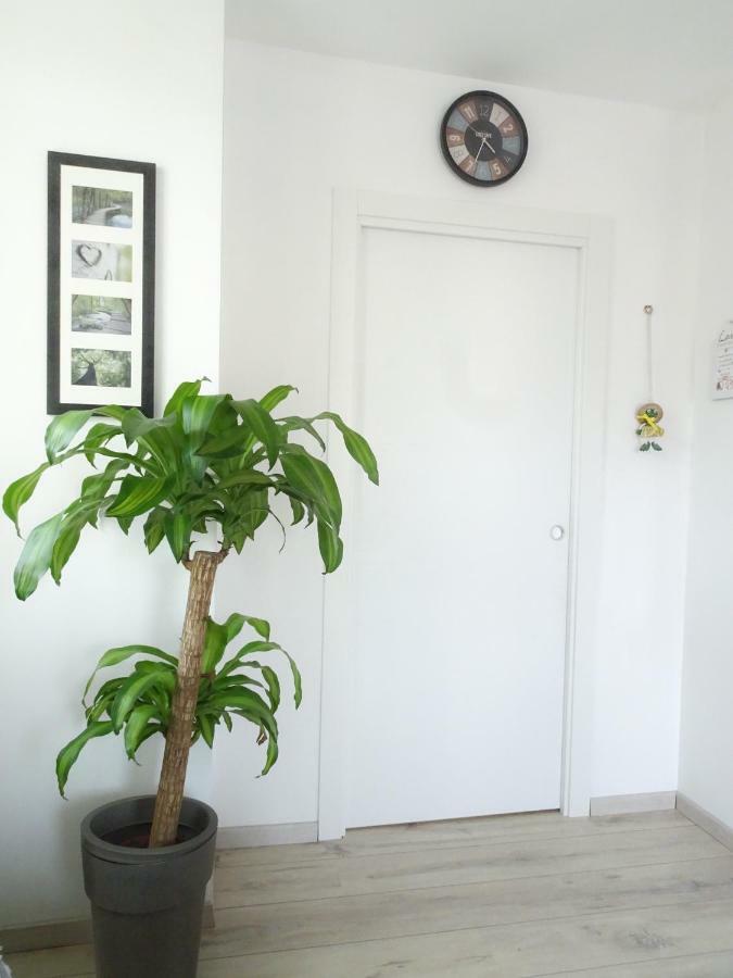 Antica Casa Alboletta Apartment Riva del Garda Bagian luar foto